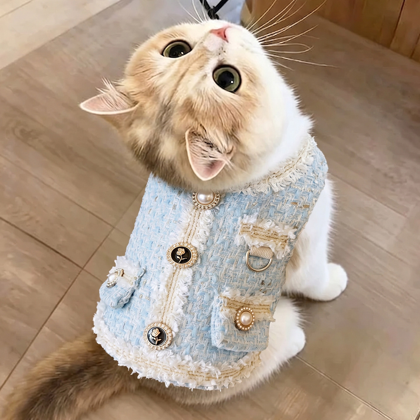猫咪秋冬季保暖衣服银渐层秋冬装猫宠物服装/雨衣（新