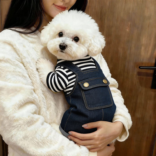 新款幼犬春秋小狗外出防脏狗狗衣服小型犬秋天四脚衣背带裤高颜值