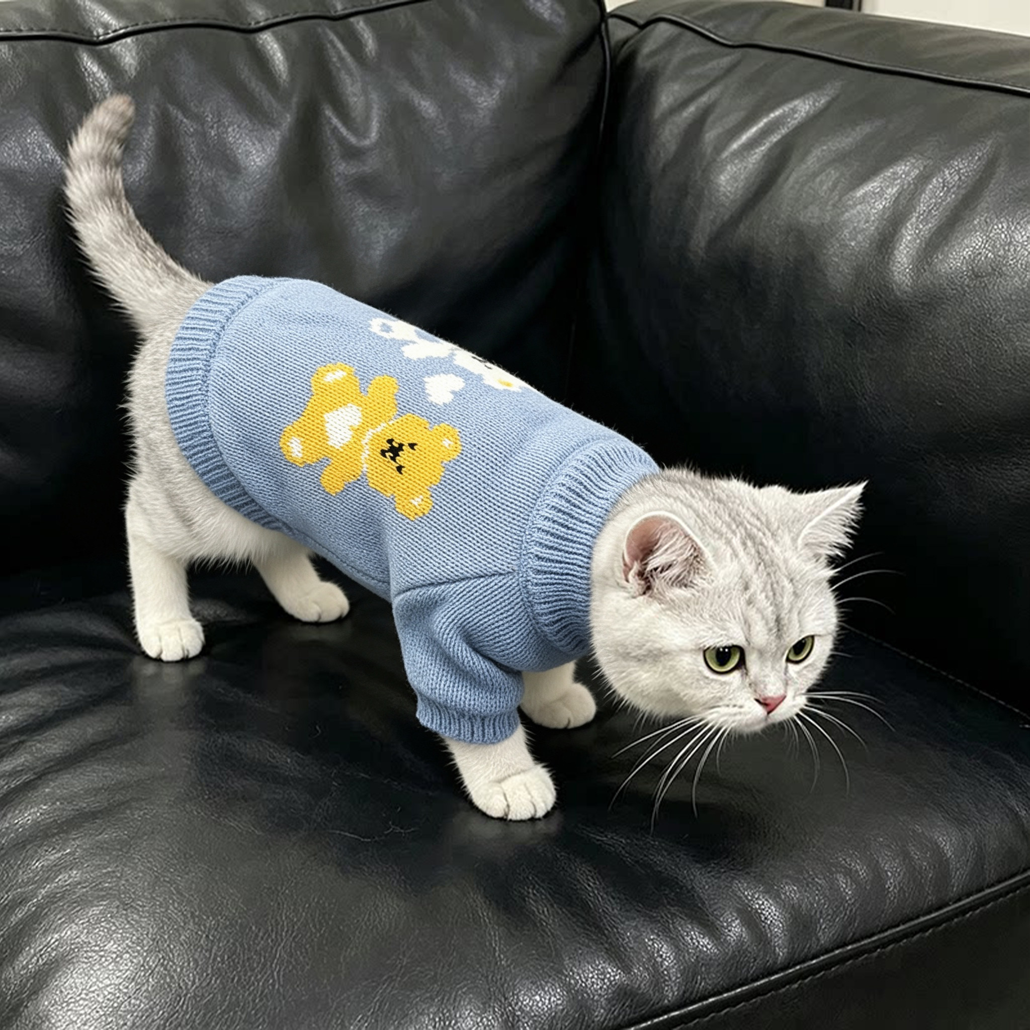 冬季猫咪衣服防着凉保暖防脏针织毛衣银渐层美短高颜值小熊图案服