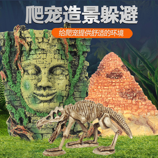 爬箱龟箱造景装饰爬虫蜥蜴热带沙漠恐龙头骨造景蜘蛛躲避洞穴