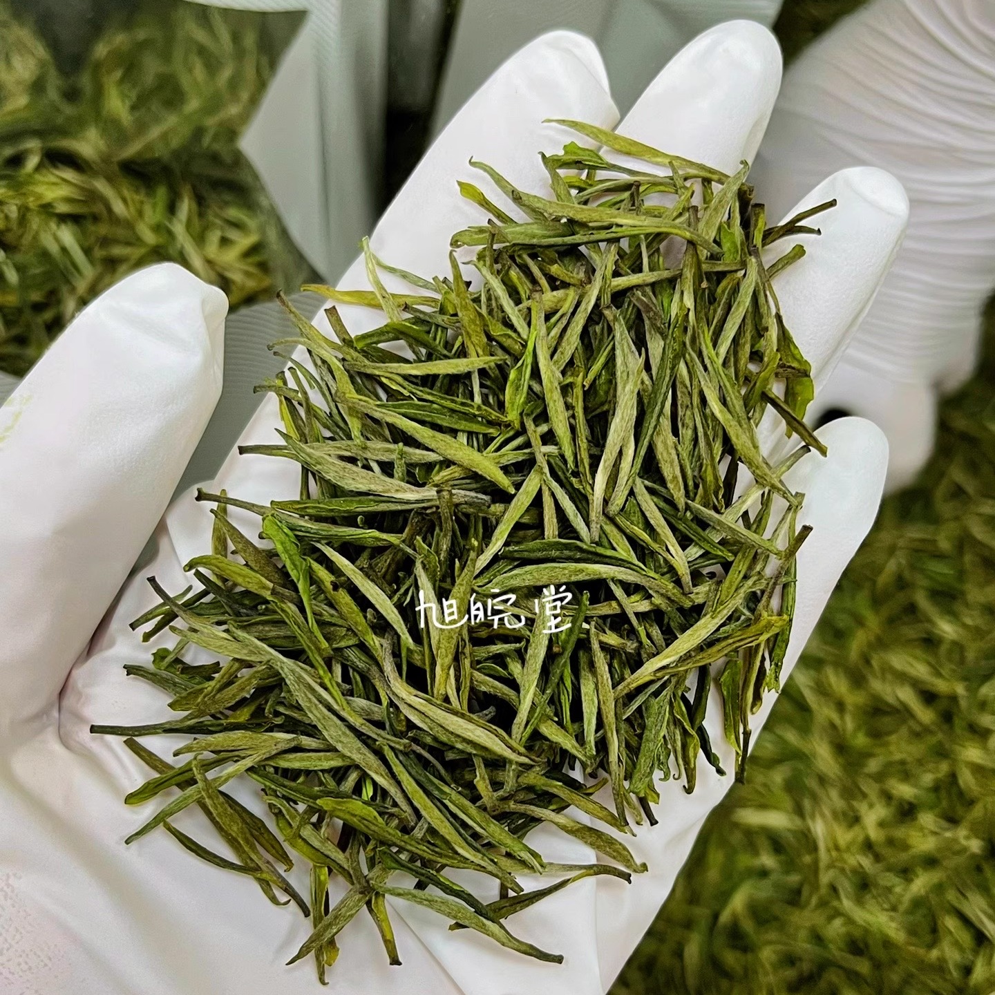 霍山黃芽2025新茶大化坪悶黃黃茶