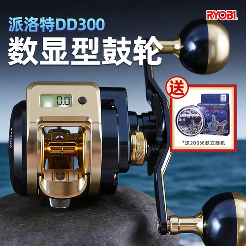 利优比派洛特D300数显鼓轮