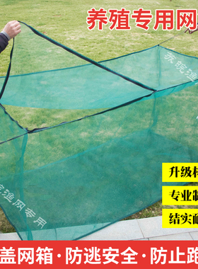定做10目网箱养殖网箱泥鳅黄鳝龙虾螃蟹网箱养鱼防逃网箱鱼苗网箱