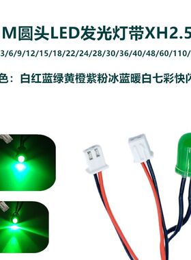 开孔10MM金属LED指示灯3V5V6V9V12V24V带端子线PH2.0-2P红蓝绿黄