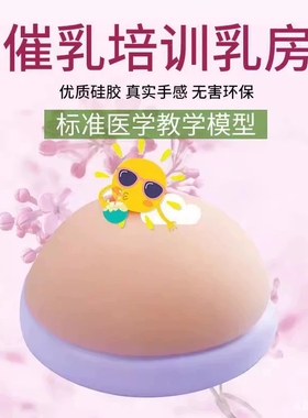 催乳师模型培训软硅胶假乳房家政技校医院医学用示范教学乳房教具