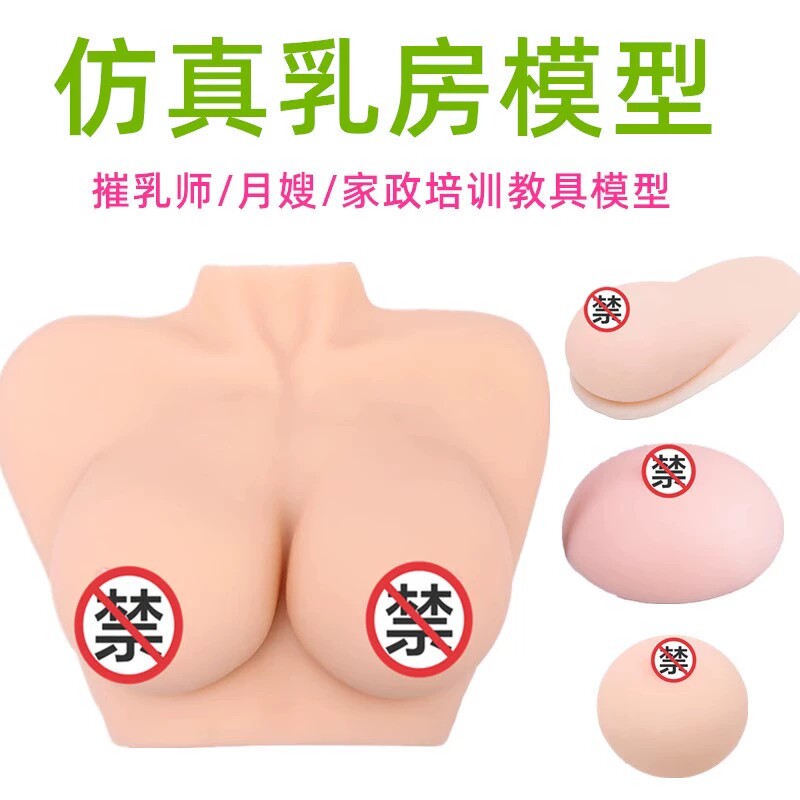 实心假乳房催乳师培训软硅胶家政技校医院医学用示范教学模型教具