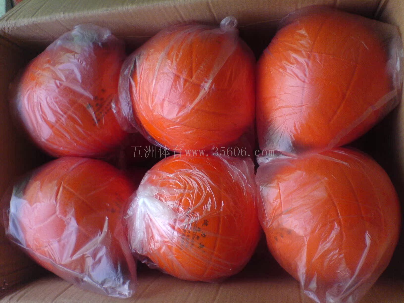 Ballon de volley - Ref 2010094 Image 4