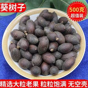 葵树子野生中药材500g精选广西大粒葵树籽老果葵扇子葵扇籽蒲葵籽