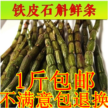 正宗新鲜铁皮石斛枫斗鲜条仿有 机石斛鲜条铁皮石斛500g包邮