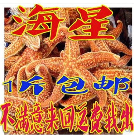 中药材刺棘海星海五星 海盘车海星干货500g包邮 滋补煲汤泡酒料