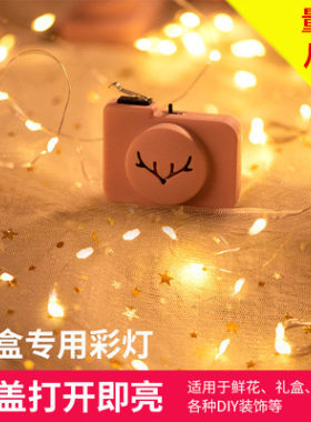 开盖即亮串灯小彩灯生日快乐灯串