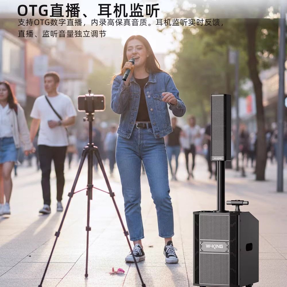 维尔晶K22大功率舞台演艺线阵音箱 户外广场唱歌直播蓝牙专业音响
