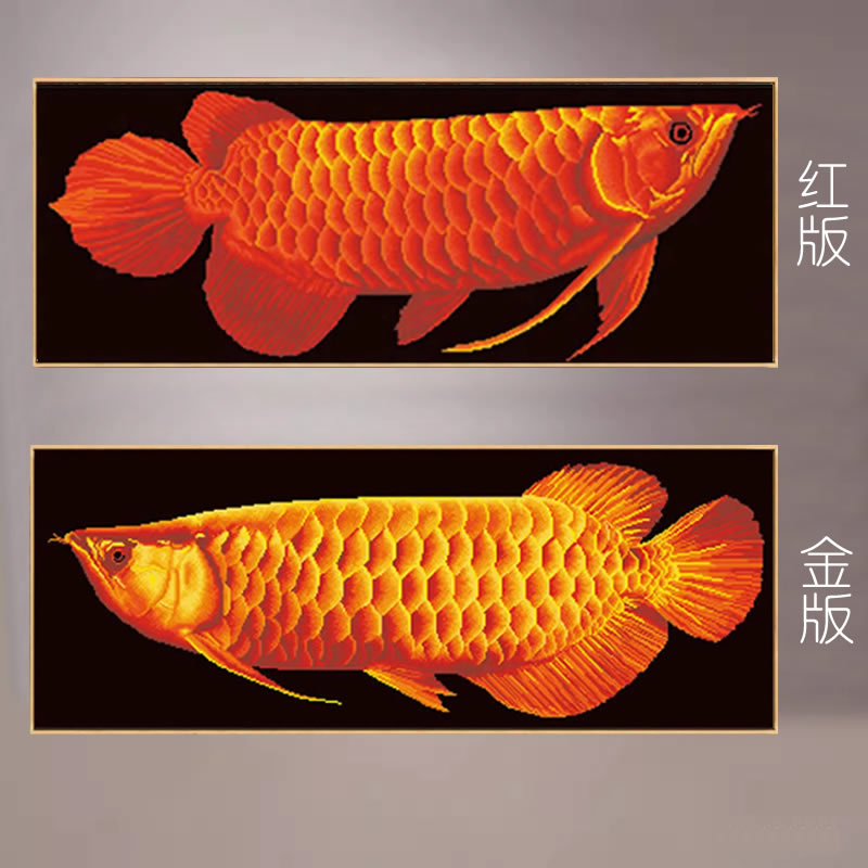 金龙鱼半贴钻石画红龙鱼图十字绣图片
