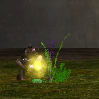 激战2闪光炸弹收割工具商城道具黑狮宝石含wegame