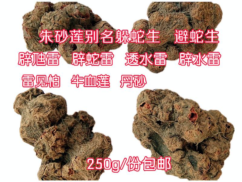 贵州野生背蛇生250g 新品干货朱砂莲辟虺雷躲蛇避蛇生牛血莲 包邮