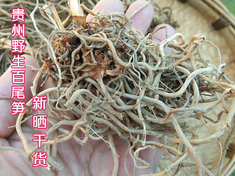 贵州百尾笋干货500g包邮 新货万寿竹根竹叶参宝铎草倒竹伞山竹花