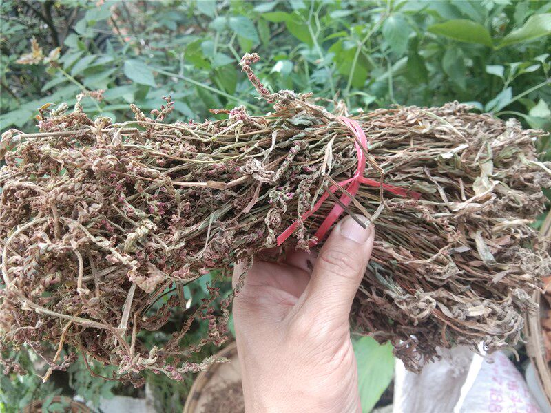 贵州山货草药盘龙参 中药材绶草龙缠柱猪辽参龙抱柱新晒干货500克