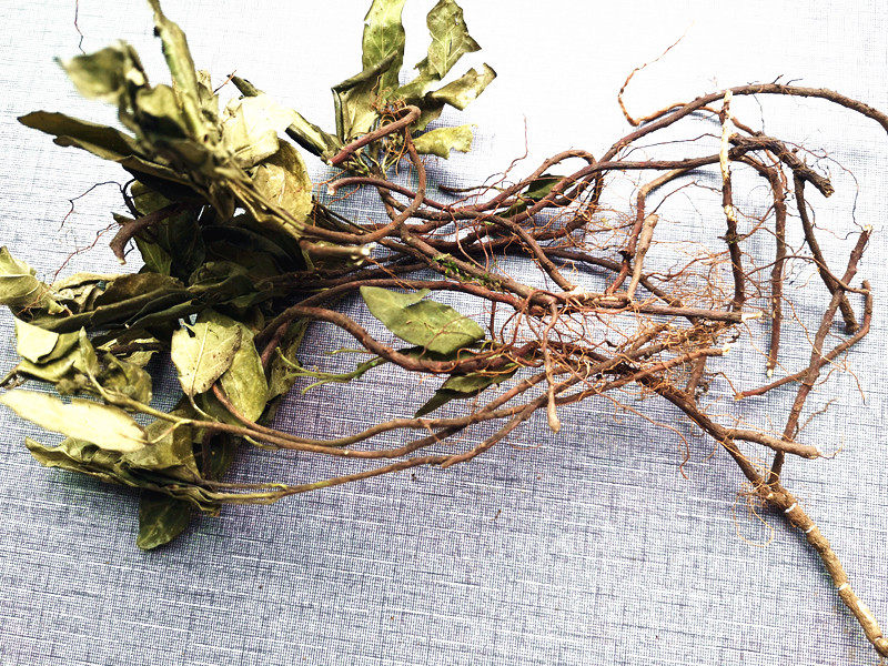 贵州草药野生矮陀陀 中药材地柑子矮哆哆石柑子小白花草干货500克