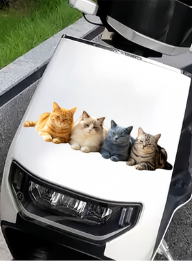 宠物装饰无背景可爱猫猫