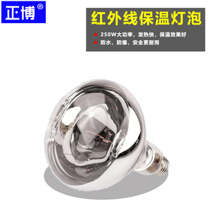 防水防爆红外线食物250w150W保温灯泡 保温灯灯泡 食物保温灯泡