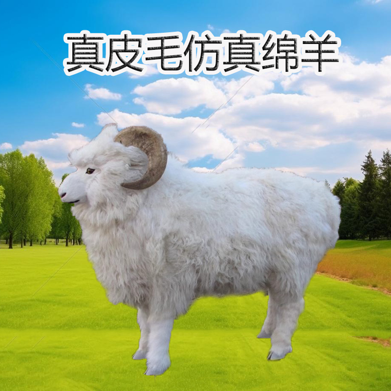 大型仿真绵羊仿真羊商场景观布置羊绒店摆件橱窗动物模型拍摄道具