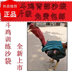 Cockfighting y học huấn luyện gà chọi cung cấp thuốc đặc biệt cockfighting bổ sung y học cockfighting y học cockfighting cung cấp - Chim & Chăm sóc chim Supplies