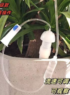 自动陶瓷渗水器阳台植物滴水器滴灌懒人浇花器出差旅游浇水神器