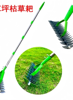 草坪枯草耙 茅草耙 落叶耙 园林除垢耙松土器 土壤耙Thatch Rake