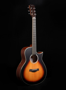 正品授权美国Letong吉他Education Series系列George乔治CTM全单