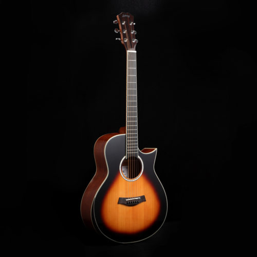 正品授权美国Letong吉他Education Series系列George乔治CTM全单