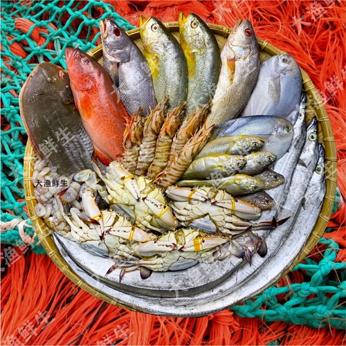 海鲜大礼包年货礼包舟山冷冻海鲜