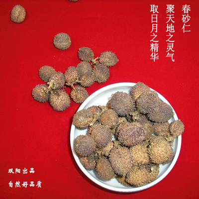 阳春春砂仁干果50g精选煲汤泡茶