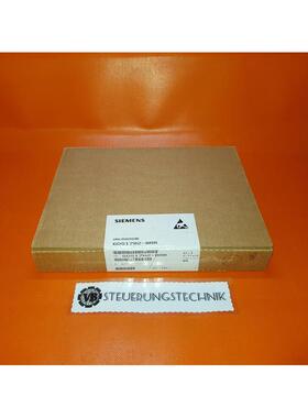 Siemens Analogausgabe 6DS1702-8RR / e: 04