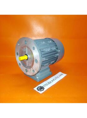 Lenze Mderaxx063-12v1 - 0.12 kW 3-phase Motor