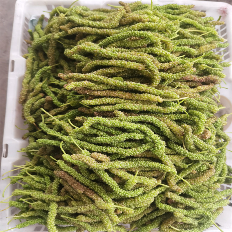 四川大凉山绿色牛奶长条桑葚鲜果长桑果长条桑椹现摘当季顺丰包邮