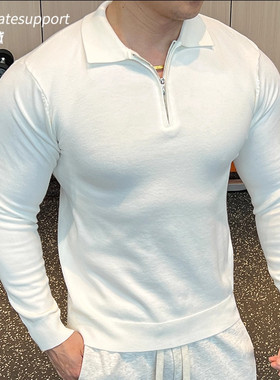 秋冬男士新款翻领休闲毛衣针织衫长袖上衣时尚polo衫百搭简约纯色