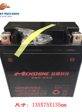 春风动力CF400狒狒250捷马NK150 MK650TR国宾车电瓶 原厂蓄电池