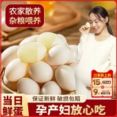 鸽子蛋五谷杂粮土鸽信鸽散养老人孕妇宝宝营养辅食自养