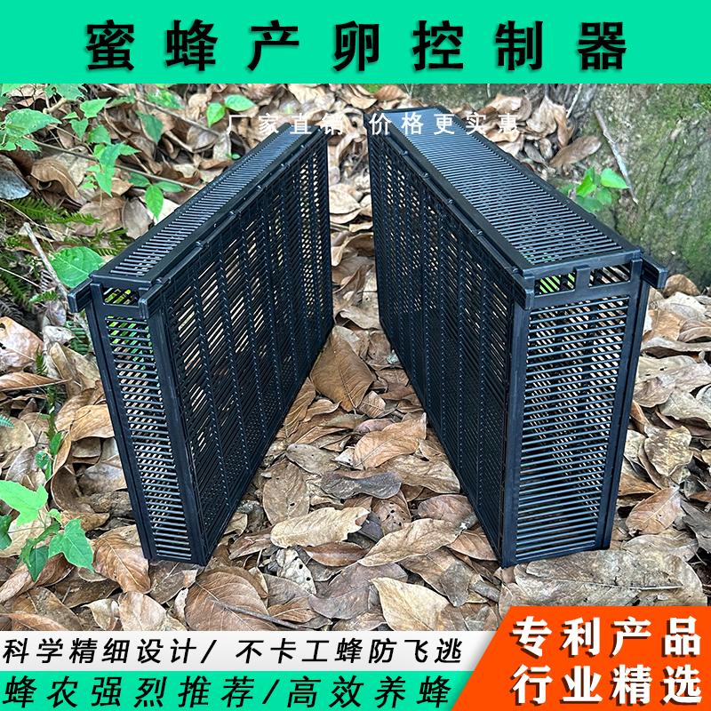 蜜蜂多王群饲养笼隔王栅产卵控制器防逃笼双王群养殖隔王板防盗片