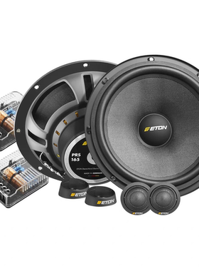 德国伊顿ETON进口80毫米中档驱动器PRS165.3多路系统汽车音响喇叭