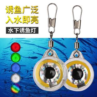 海钓诱鱼灯水下LED纽扣小鱼眼配件集鱼灯路亚鱼饵灯夜光漂鱼漂