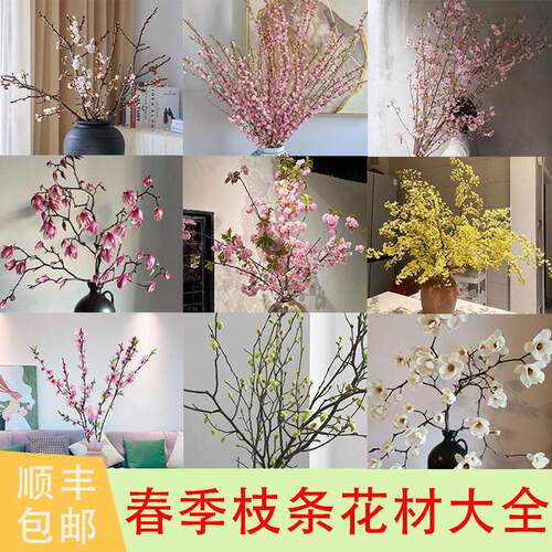 春季枝条型花材樱花桃花鲜切枝