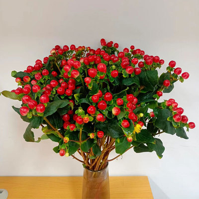红豆鲜花火龙珠配花配草花束搭配