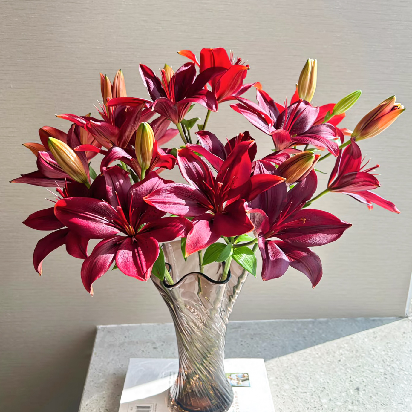 黑石亚百合鲜花无香味云南直发