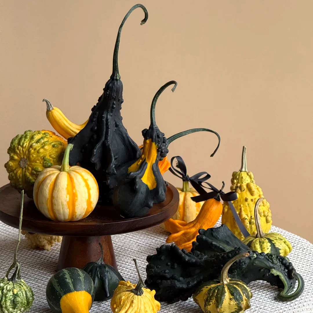 墨西哥葫芦小南瓜文玩摆件花材