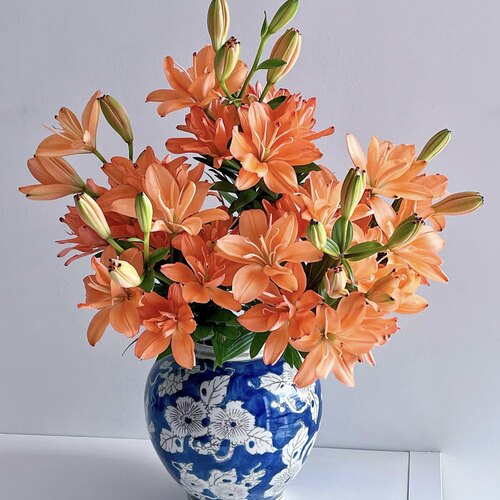 亚百合鲜切花云南基地直发无香味