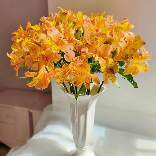 仙百合鲜花花束六初花家用插花