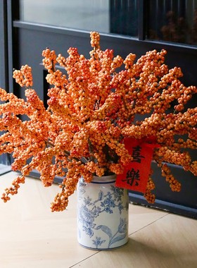 进口橙色北美冬青鲜切真花鲜花云南基地直发水培切枝发财果年宵花