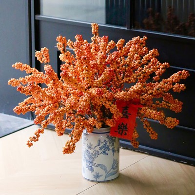 进口北美冬青红果鲜切花材年宵花