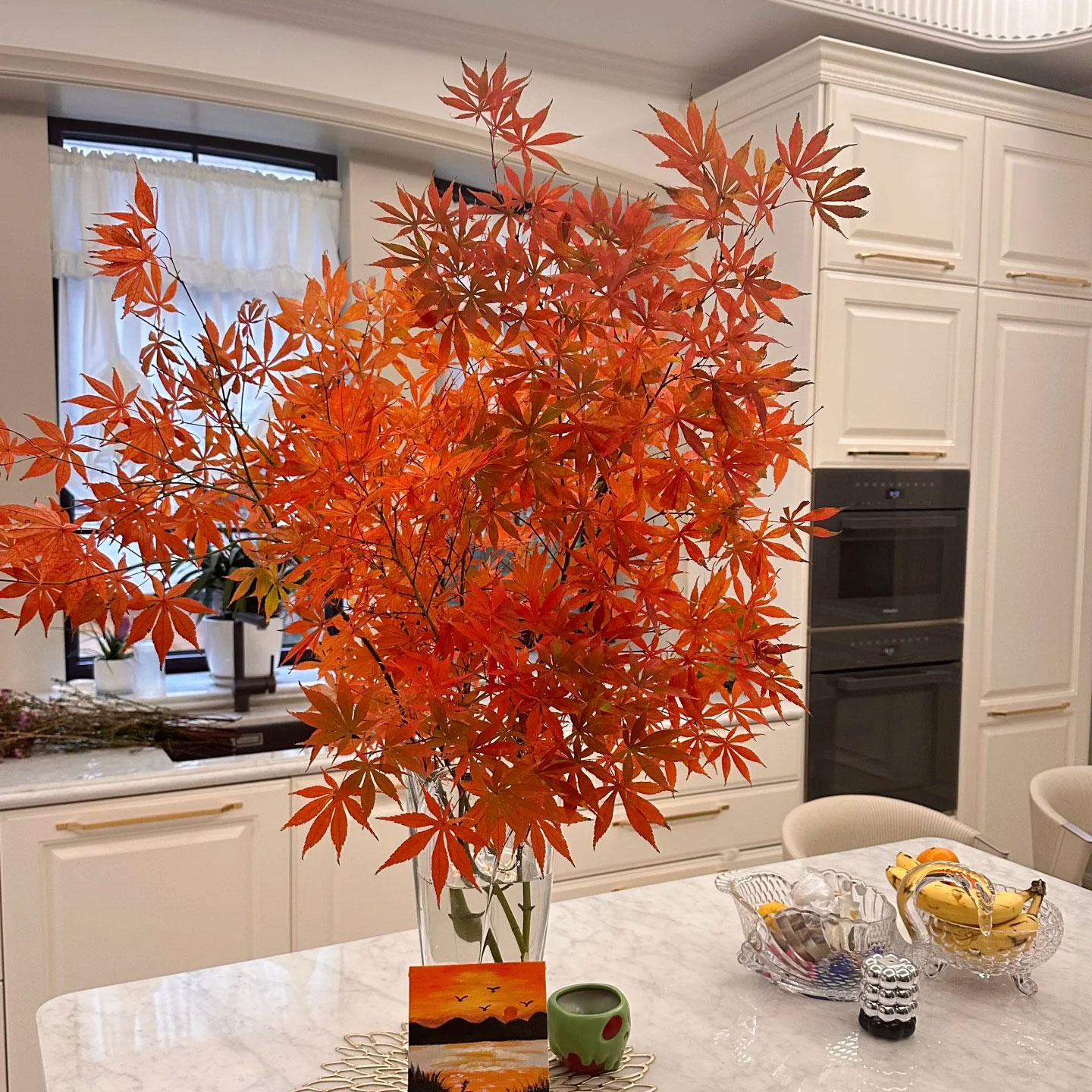 红色枫叶鲜切枝云南基地直发鲜花室内水培植物家用插花婚庆花材